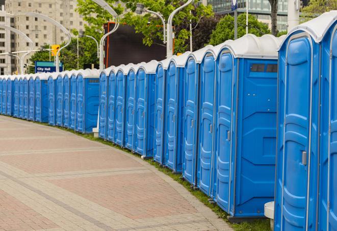 a fleet of portable restrooms ready for use at a large outdoor wedding or celebration in Beach Haven